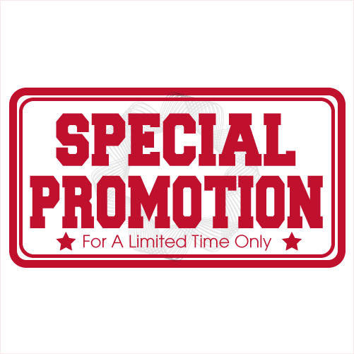 $99 Video Inspection
