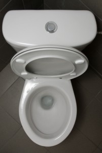 resolving-toilet-troubles