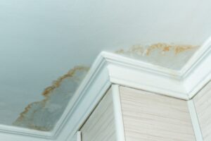 water-staining-on-a-ceiling