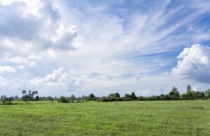 a-bright-blue-summmer-sky-over-green-fields